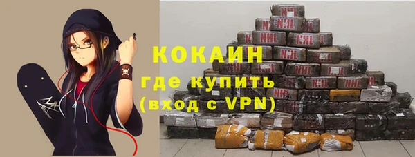 сатива Арсеньев