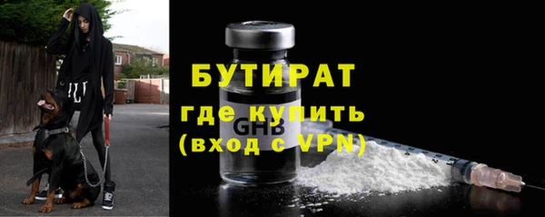 сатива Арсеньев