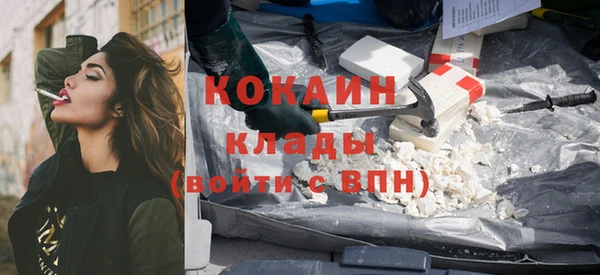 сатива Арсеньев